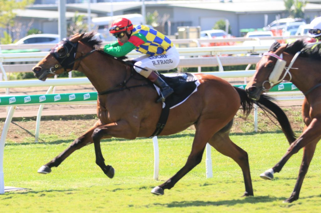 Don't Waiver (3) | Just Horse Racing