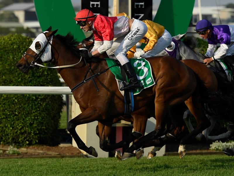 Doomben | Just Horse Racing