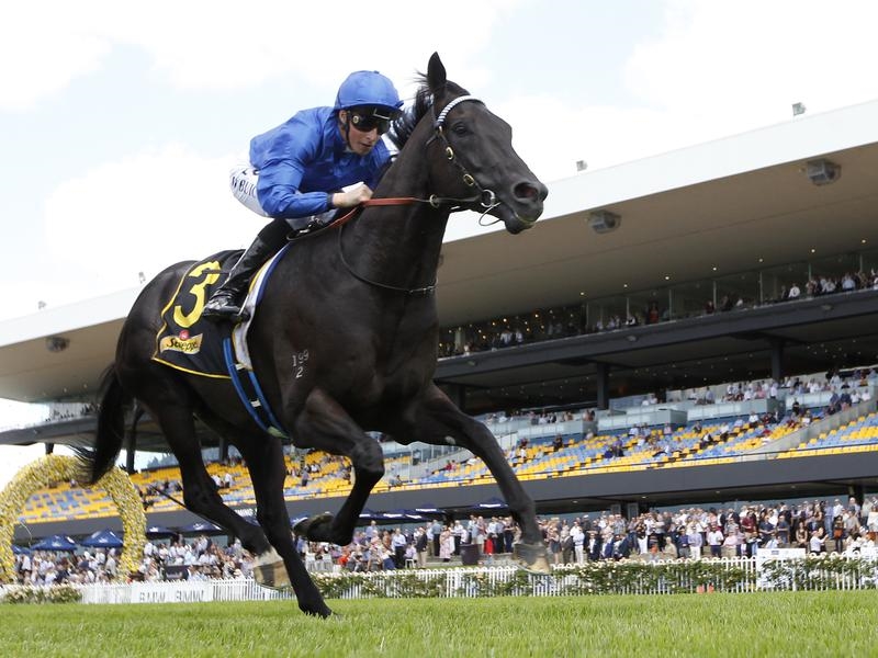 Doomben Spectroscope | Just Horse Racing