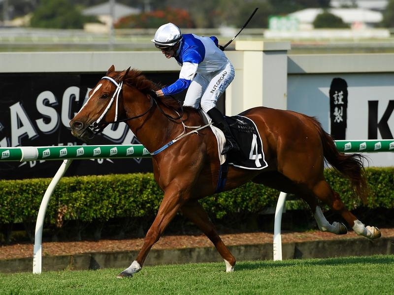 Doomben Spurcraft | Just Horse Racing