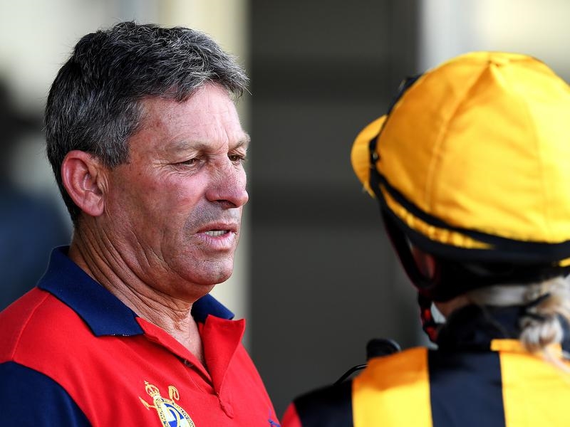 Doomben Tycoon | Just Horse Racing