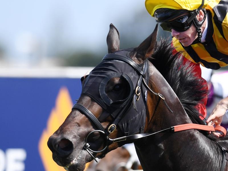 Eagle Farm | Just Horse Racing