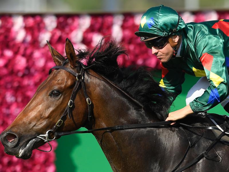 Eagle Farm Alligator | Just Horse Racing
