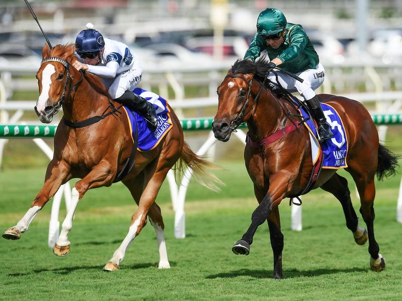 Eagle Farm Kings | Just Horse Racing