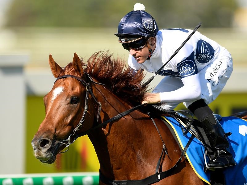 Eagle Farm Lough | Just Horse Racing