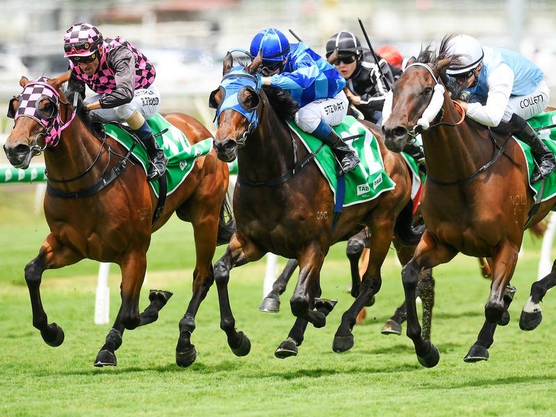 Eagle Farm Powers | Just Horse Racing
