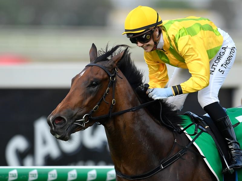 Eagle Farm Sugar | Just Horse Racing