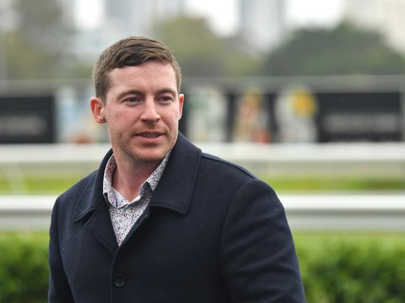 Galllops Currie | Just Horse Racing