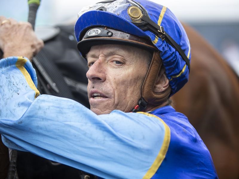 Gallops Cahill | Just Horse Racing