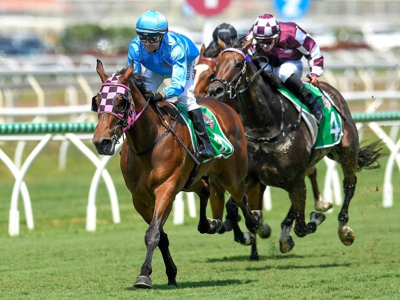 Gallops Eagle Farm | Just Horse Racing