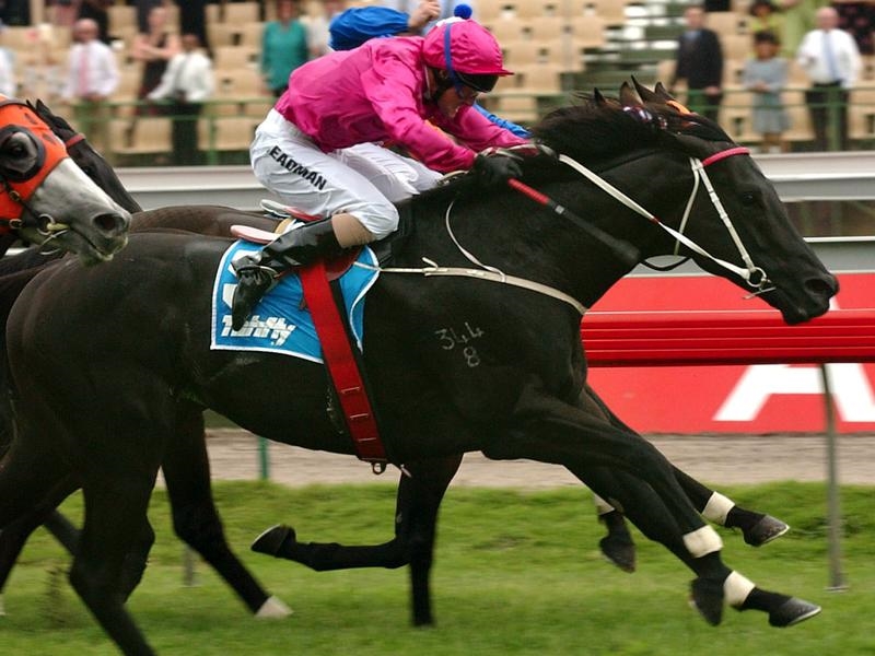 Champion stallion Lonhro dies