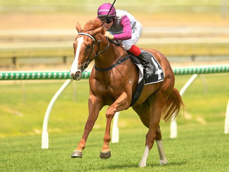 Gallops Millions | Just Horse Racing