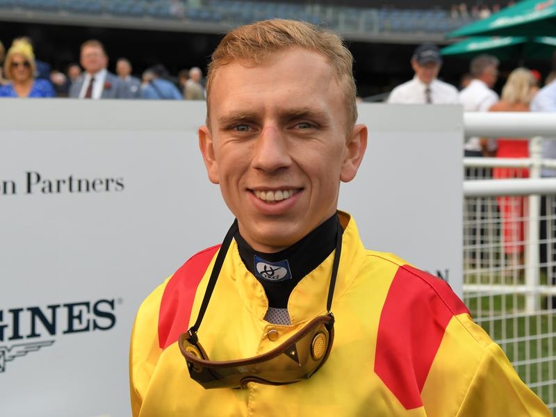 Gallops Overmeire | Just Horse Racing