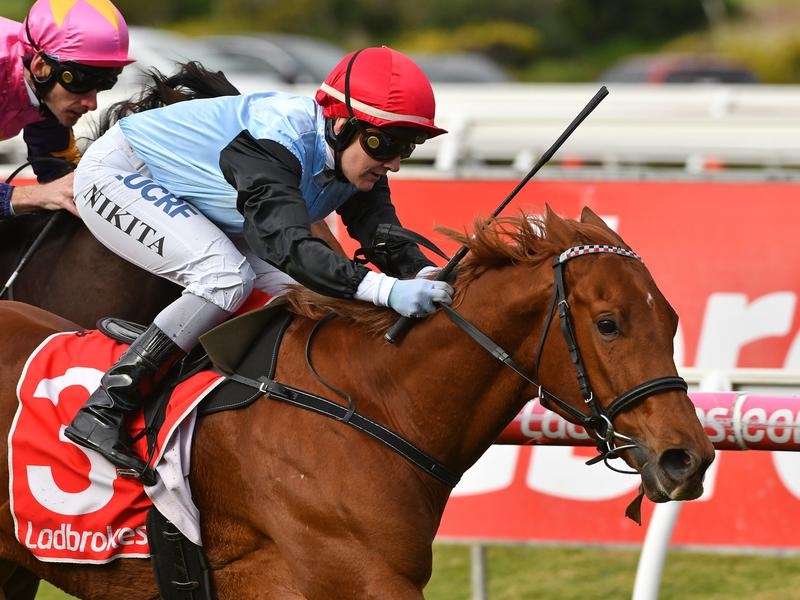 Gallops Surprise | Just Horse Racing