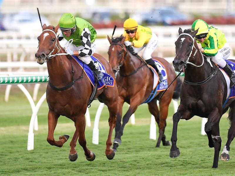 Gallops Tahitian | Just Horse Racing