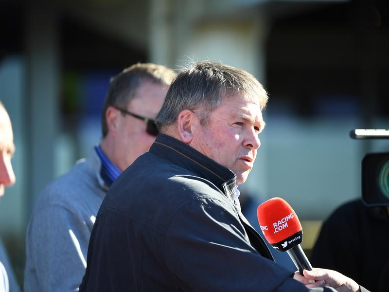 Gallops Valley | Just Horse Racing
