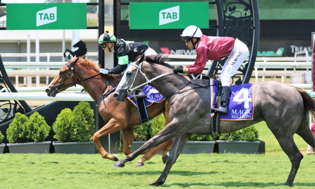 Gotta Kiss (2) | Just Horse Racing