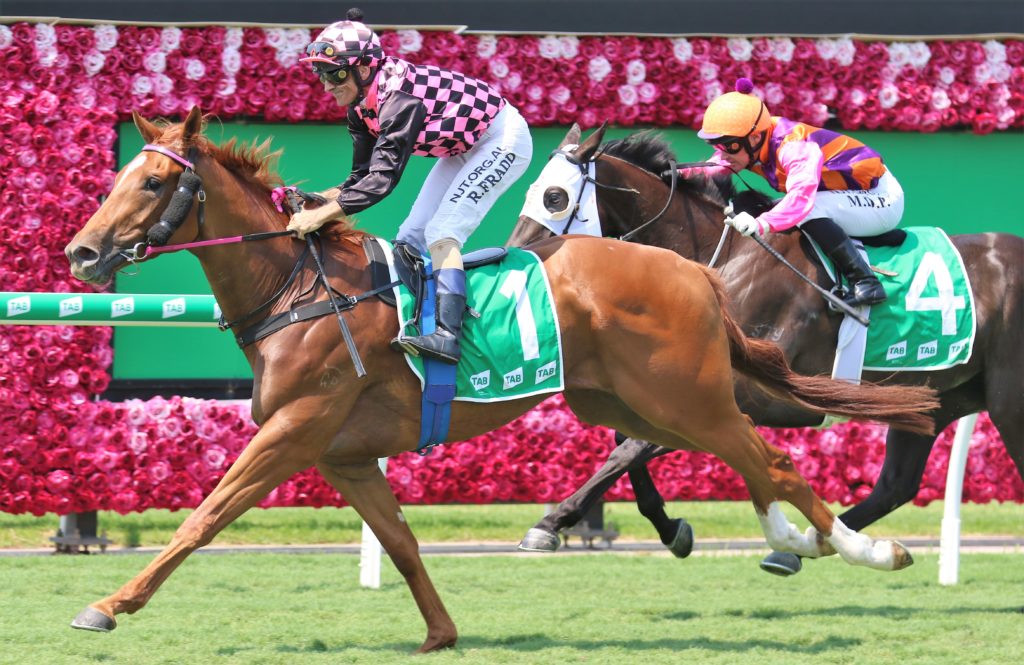 Guntantes (3) | Just Horse Racing