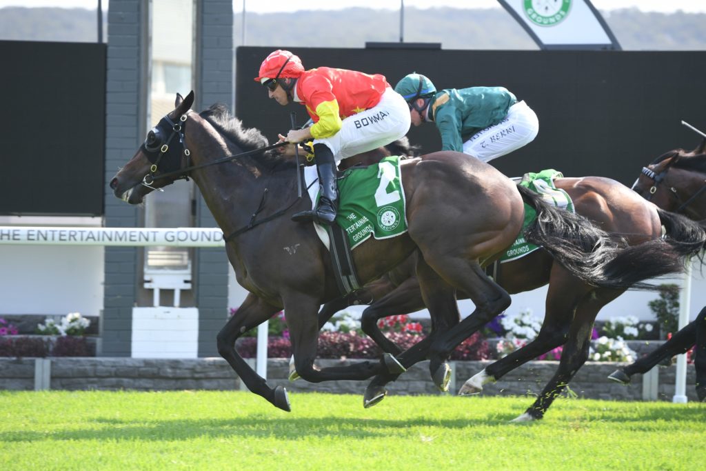Hightail 271219 1268 | Just Horse Racing