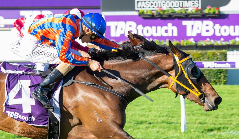 Kay Cee | Just Horse Racing
