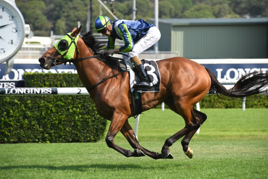 Luvaluva 26122019 0742 | Just Horse Racing