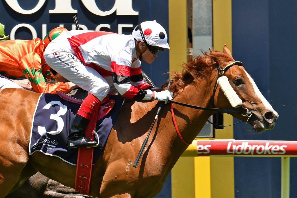 Neighbourhood | Just Horse Racing