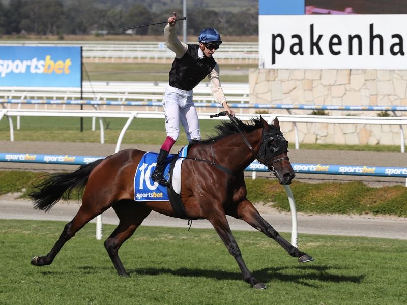 Pakenham | Just Horse Racing