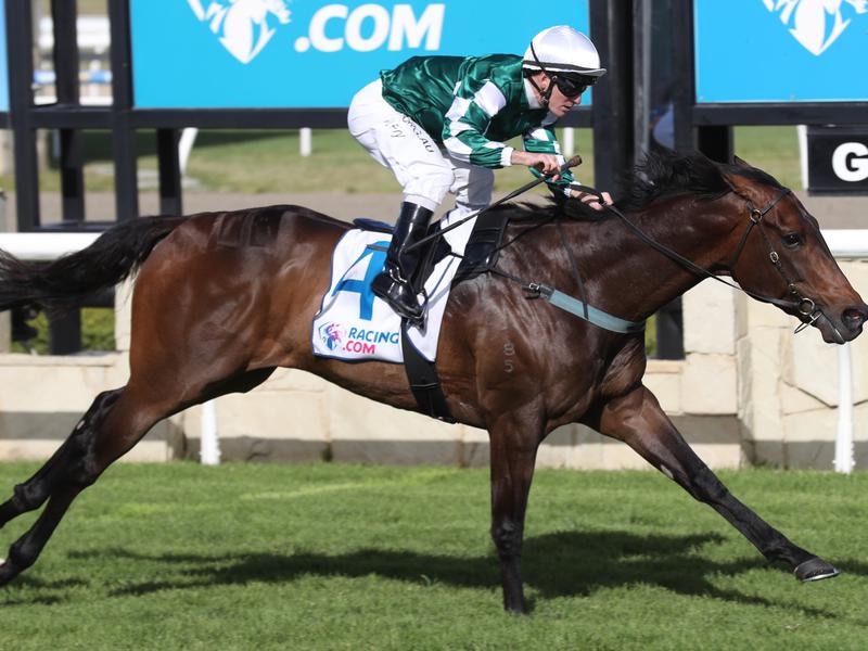 Pakenham Yulong | Just Horse Racing