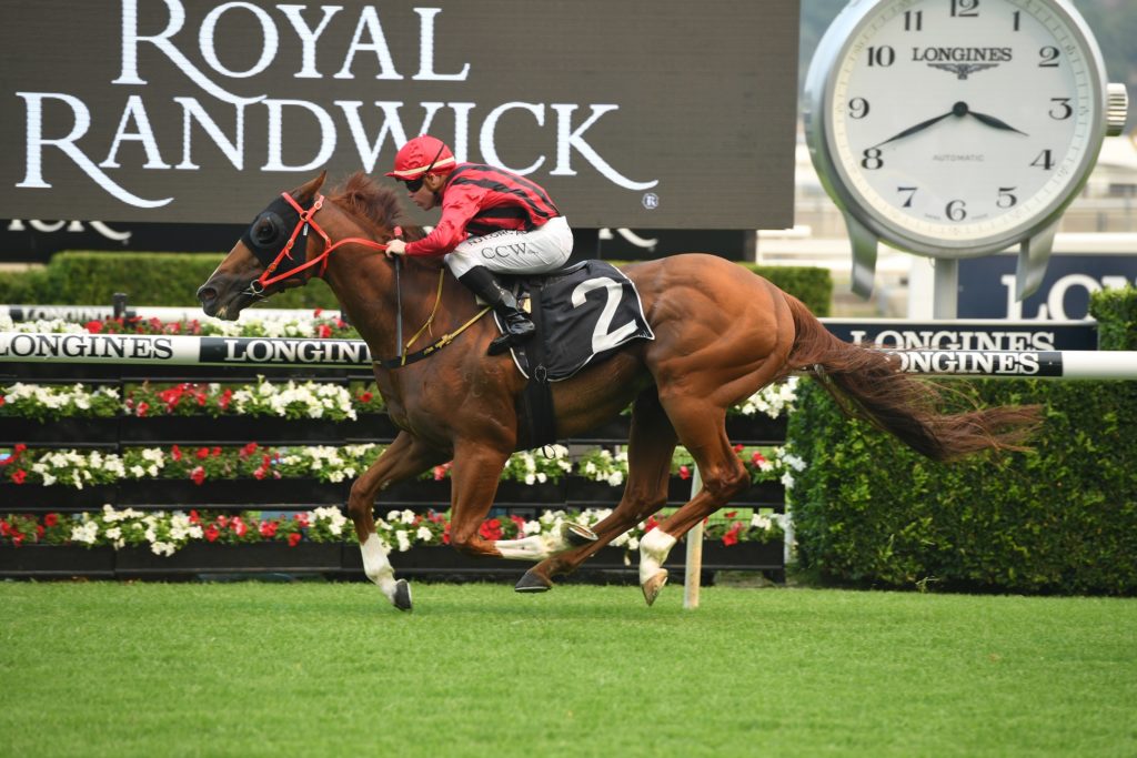 Passage Of Time 21122019 9523 | Just Horse Racing
