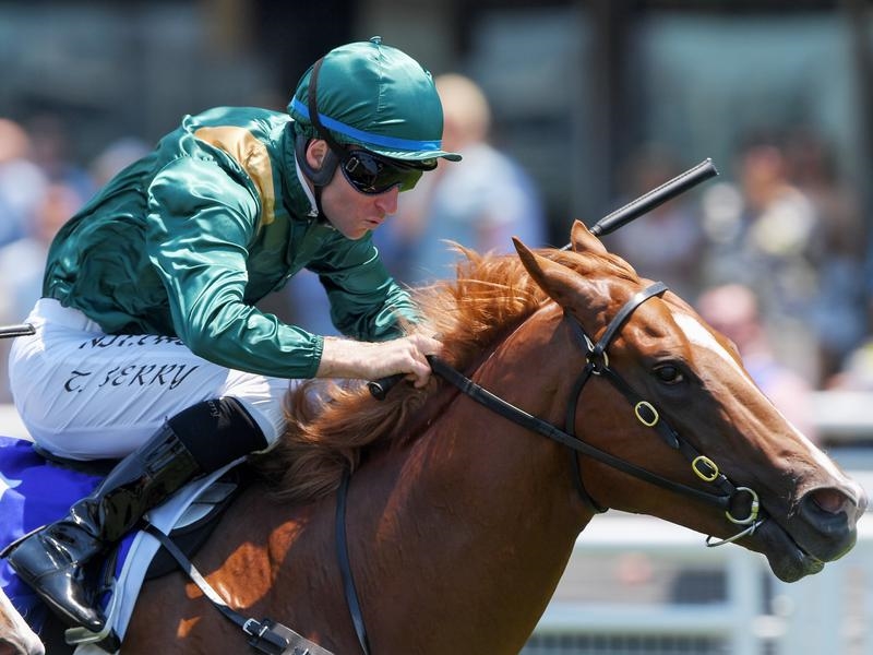 Randwick Nitrous | Just Horse Racing