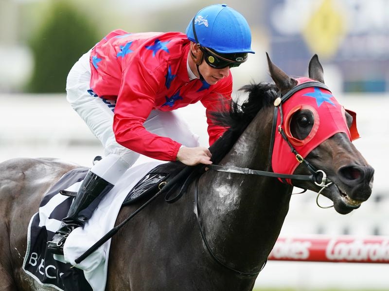 Randwick Preview | Just Horse Racing