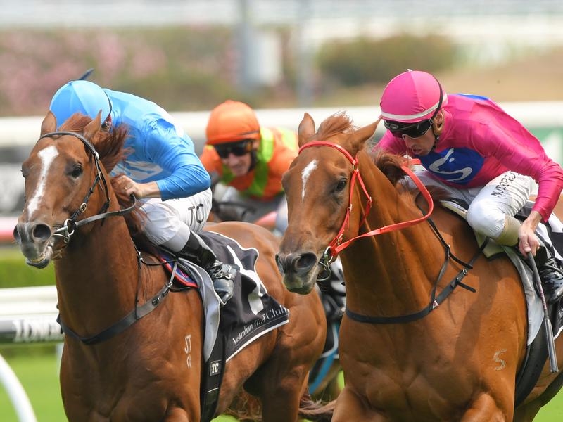 Randwick Superium | Just Horse Racing