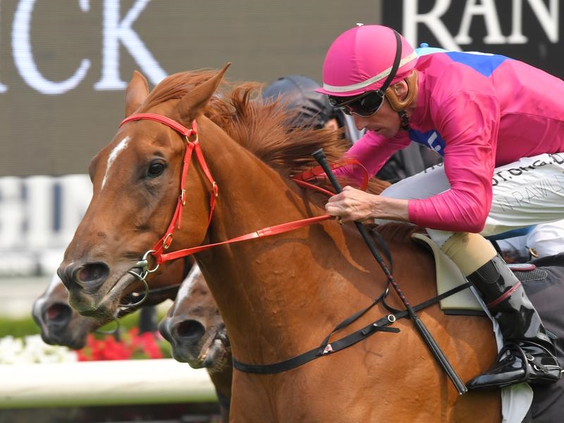 Randwick Superium | Just Horse Racing