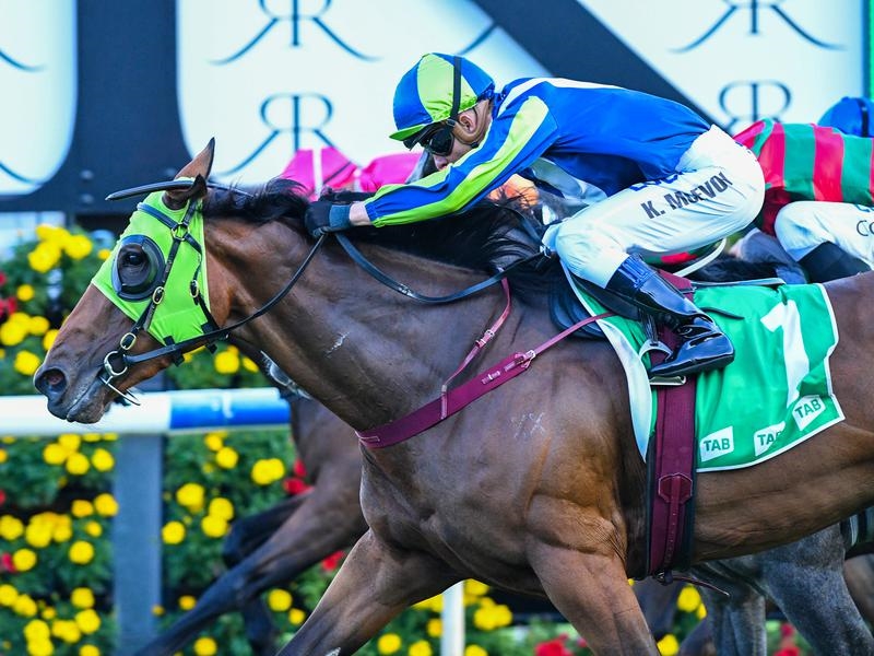 Randwick Wrap | Just Horse Racing