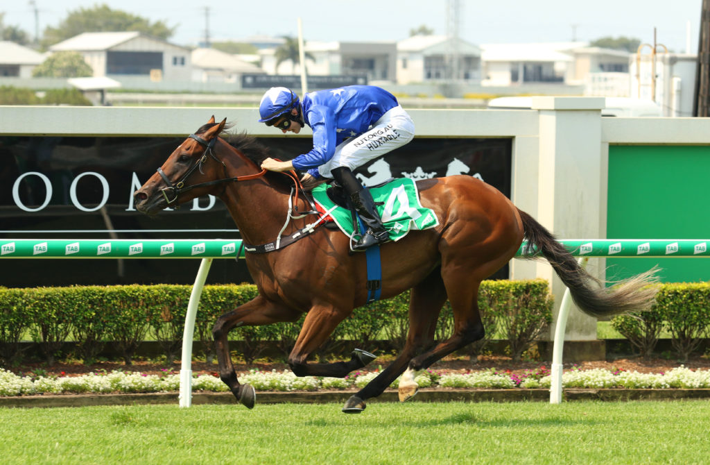 SMART METEOR062A3298 | Just Horse Racing