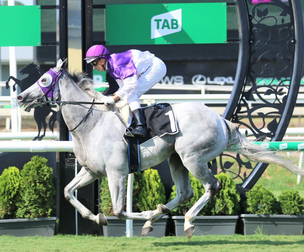 The Candy Man (2) | Just Horse Racing