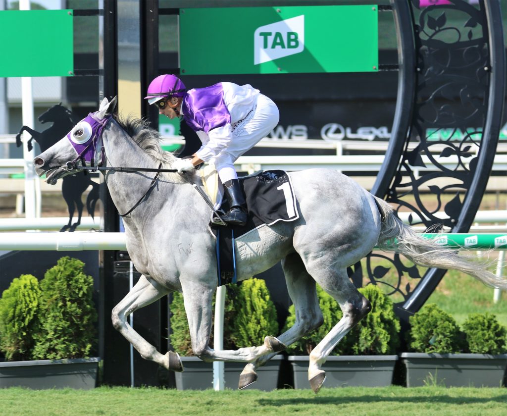 The Candy Man (3) | Just Horse Racing