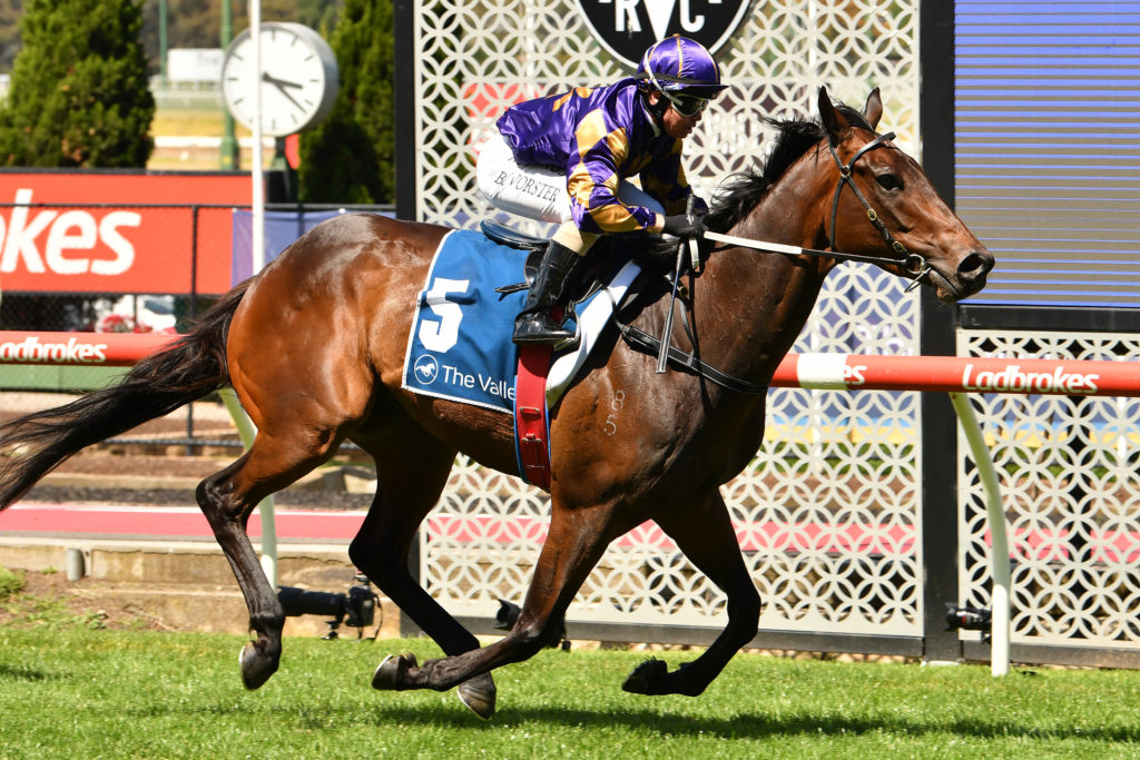 Talenti | Just Horse Racing
