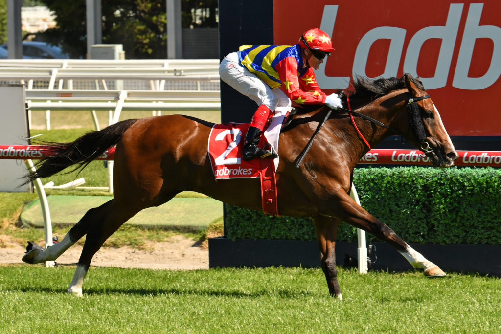 Odeon | Just Horse Racing
