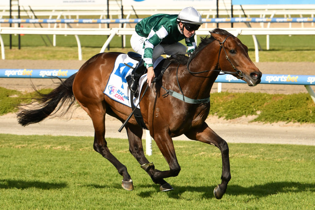 Horse Racing Big Collects, Bets and Moves 7/12/2019