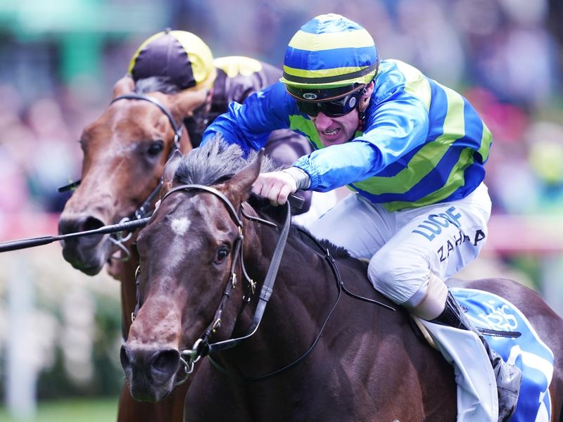 Caulfield Ideas | Just Horse Racing