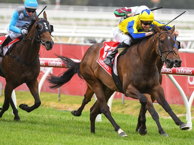 Caulfield Womantic | Just Horse Racing