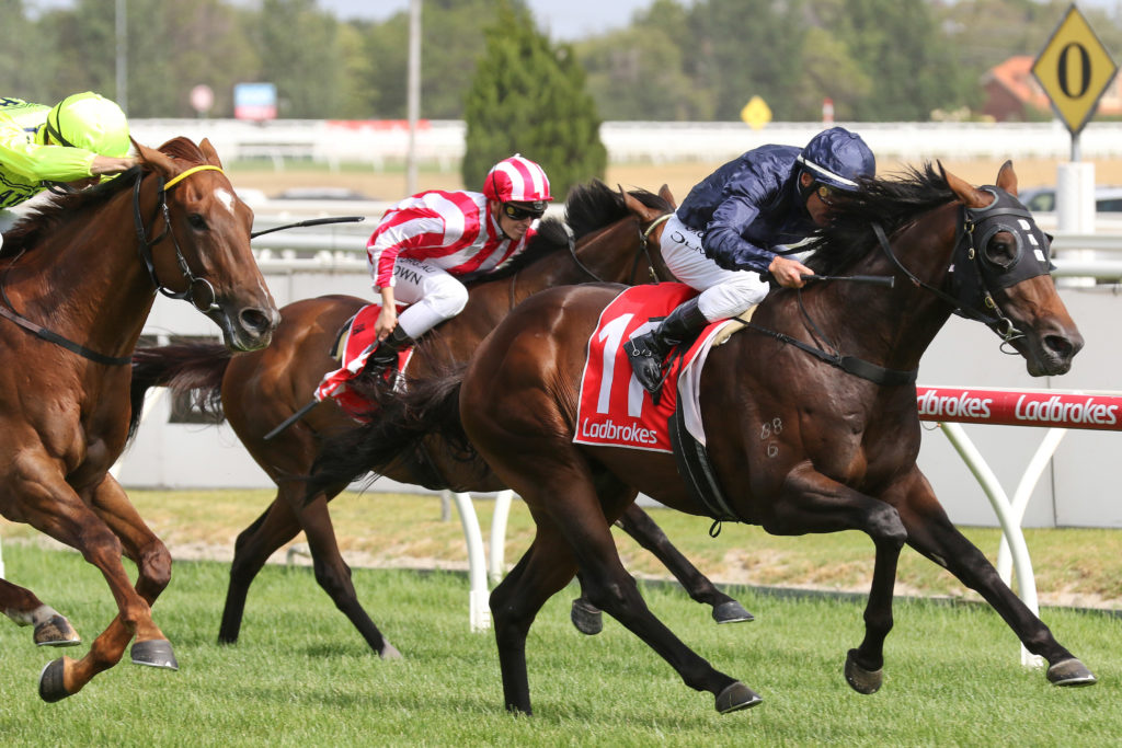 Conqueror_04-01-2020_WIN_Caulfield_7__1035 | Just Horse Racing