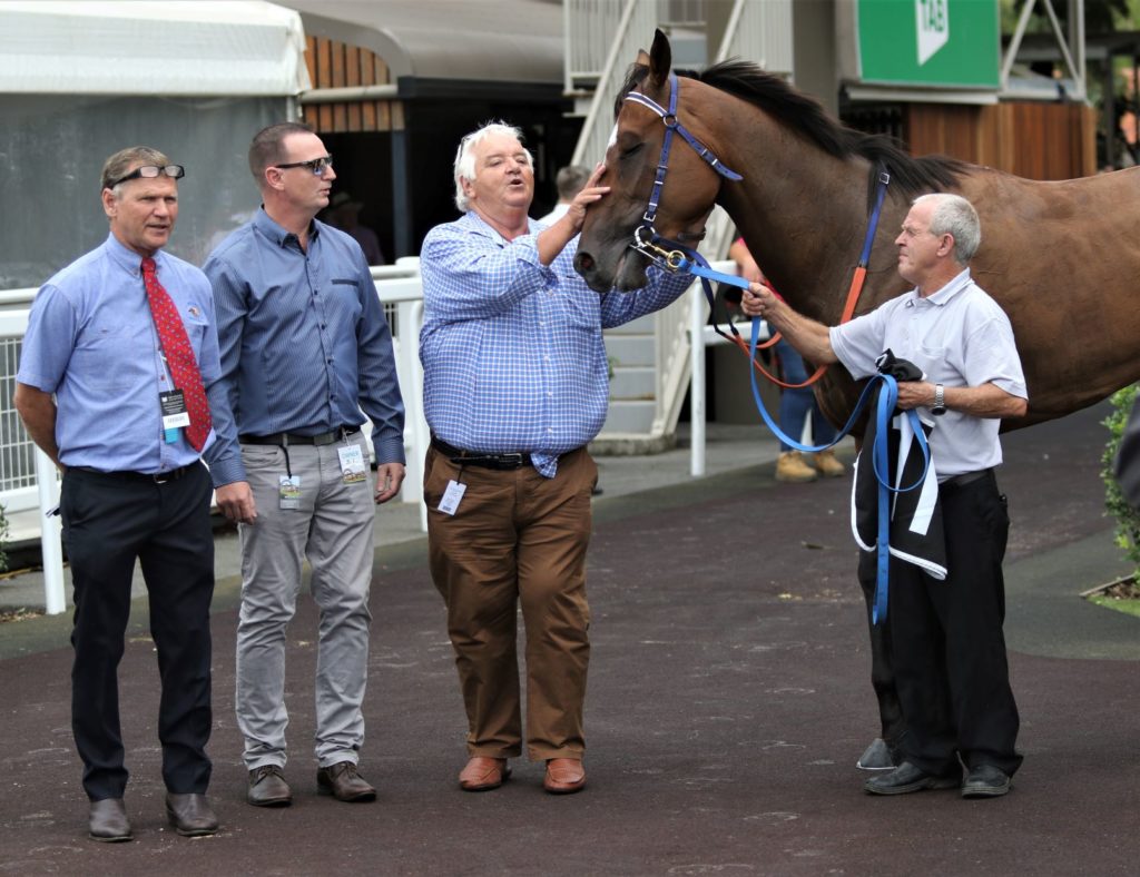 Eagle Farm race 1 Mishani Miss b | Just Horse Racing