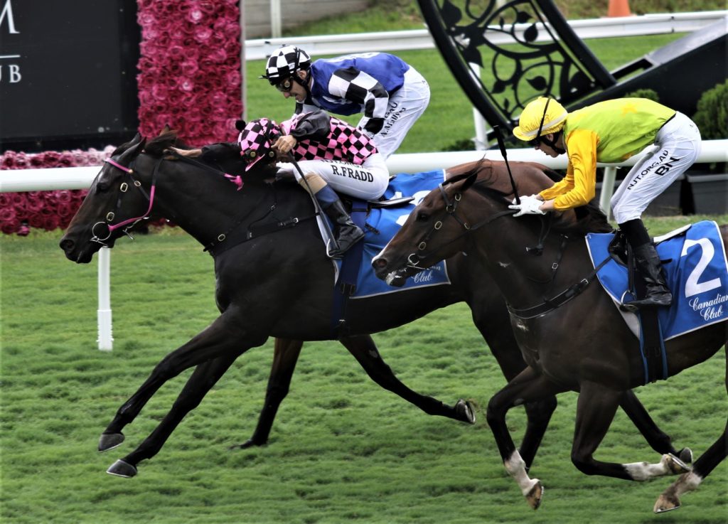 Eagle Farm race 2 - Emerald Kingdom 1 | Just Horse Racing