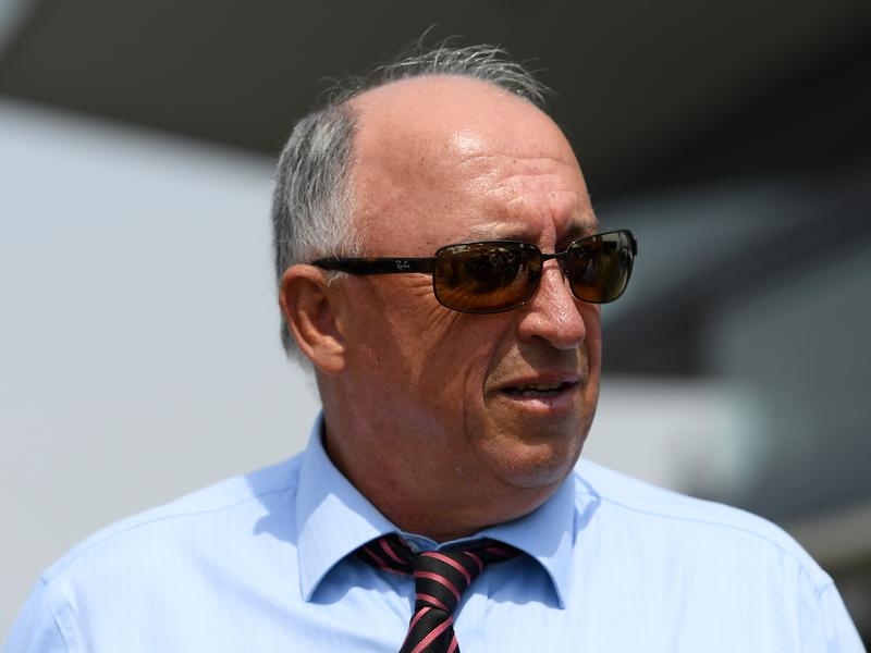 Eagle Farm Emerald | Just Horse Racing