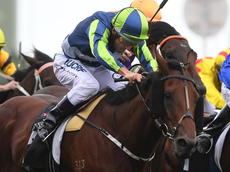 Eagle Farm Preview | Just Horse Racing