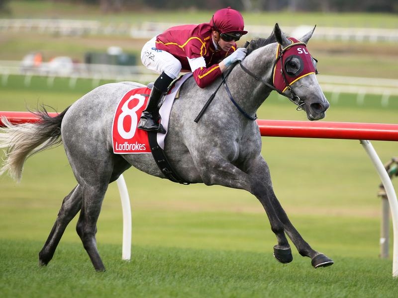Flemington Preview | Just Horse Racing