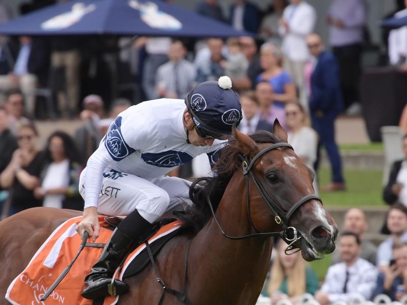 Flemington Preview | Just Horse Racing