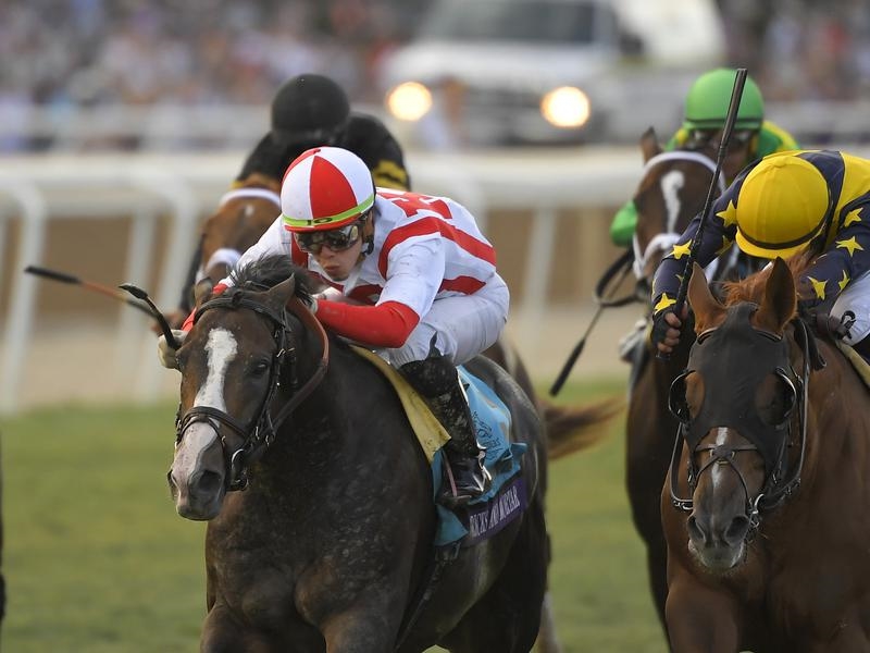 Gallops Eclipse | Just Horse Racing